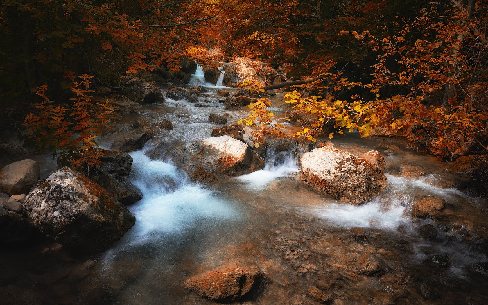 Обои горы, камни, лес, пороги, горная река, mountains, stones, forest, thresholds, mountain river разрешение 2500x1667 Загрузить