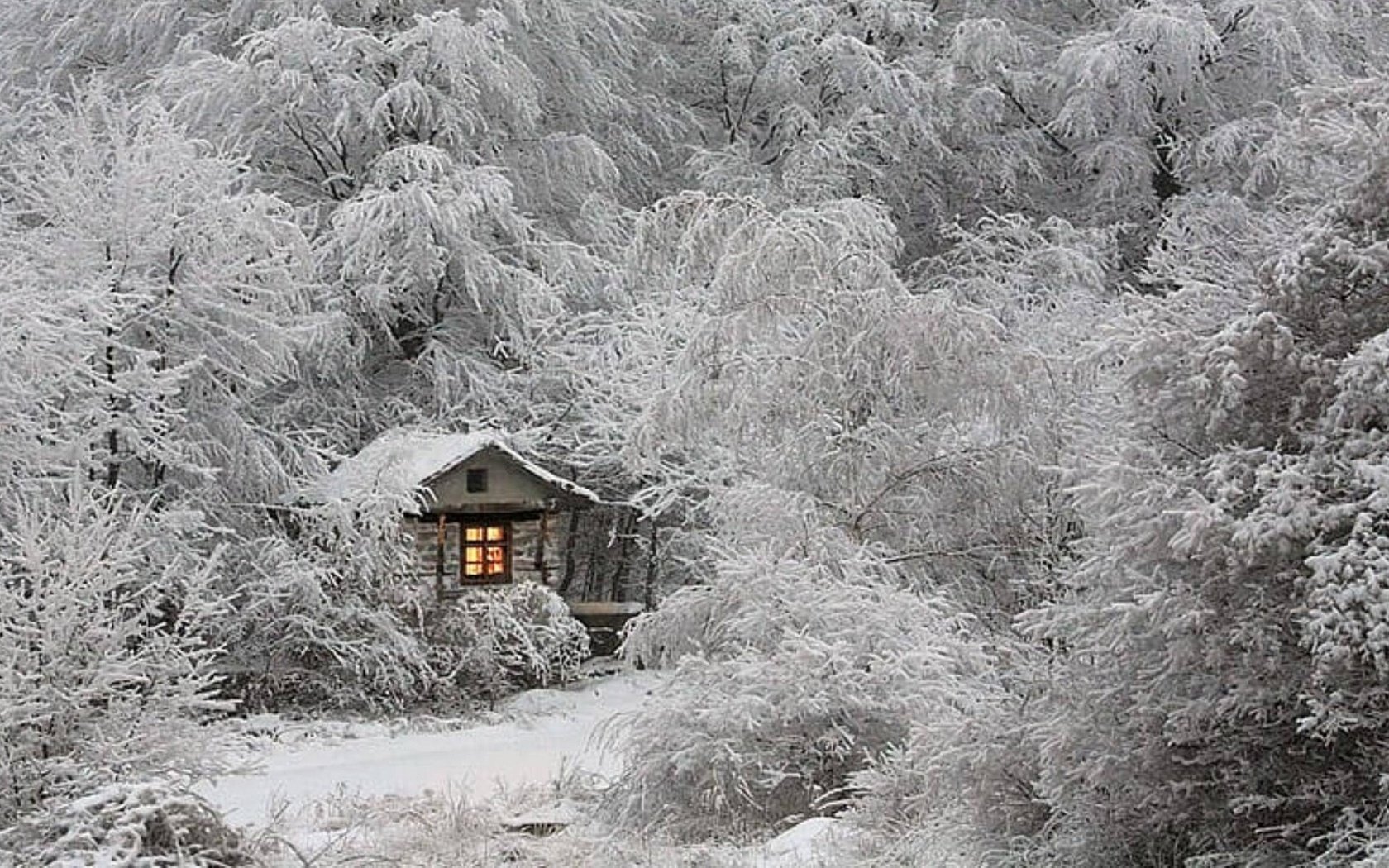 Обои деревья, снег, лес, зима, ветки, иней, домик, окно, trees, snow, forest, winter, branches, frost, house, window разрешение 1920x1080 Загрузить