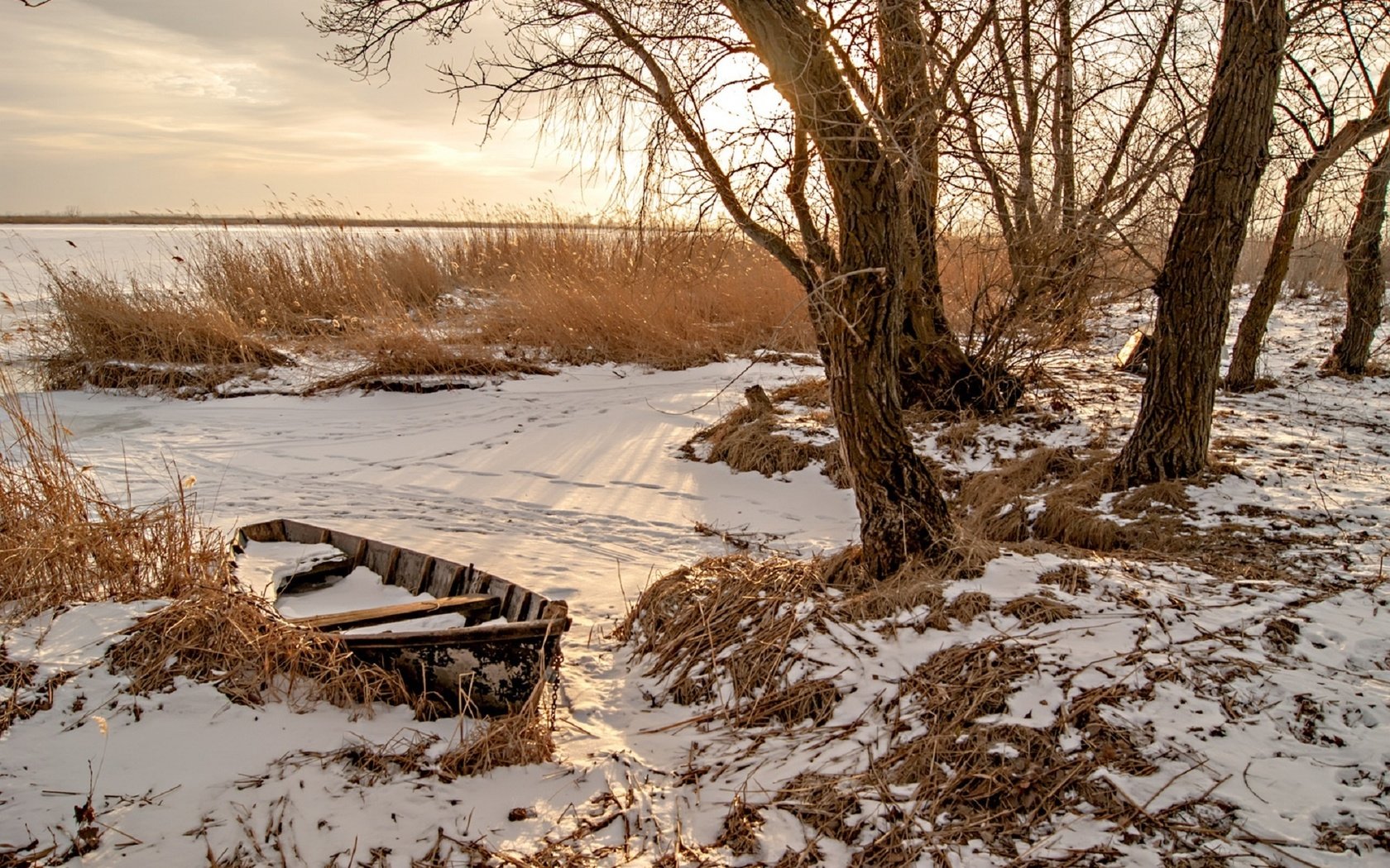 Обои деревья, снег, природа, зима, лодка, камыш, марина соколова,     деревья, trees, snow, nature, winter, boat, reed, marina sokolova разрешение 1920x1278 Загрузить