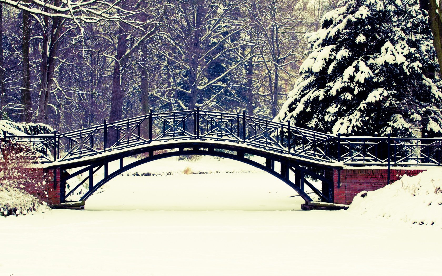 Обои деревья, снег, природа, зима, пейзаж, парк, мост,     деревья, trees, snow, nature, winter, landscape, park, bridge разрешение 5120x3413 Загрузить