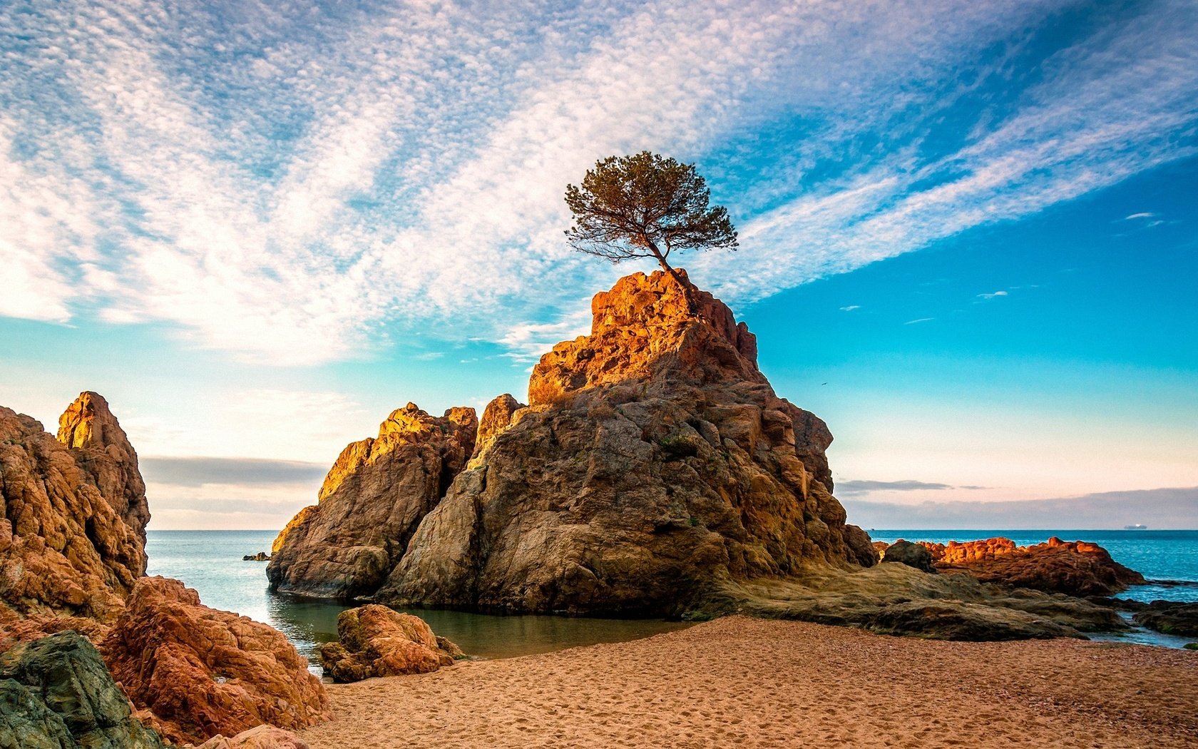 Обои вода, дерево, лучи, море, скала, рассвет, water, tree, rays, sea, rock, dawn разрешение 1920x1200 Загрузить