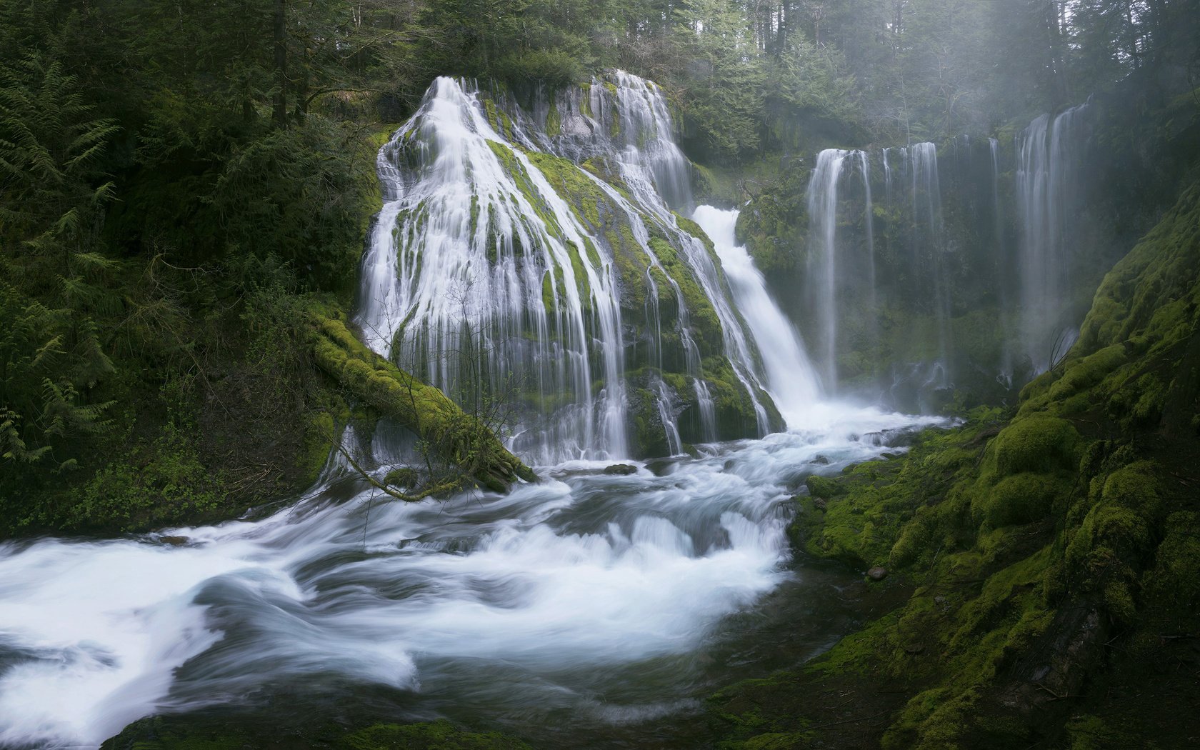 Обои деревья, вода, река, природа, лес, пейзаж, водопад, мох, trees, water, river, nature, forest, landscape, waterfall, moss разрешение 2560x1600 Загрузить