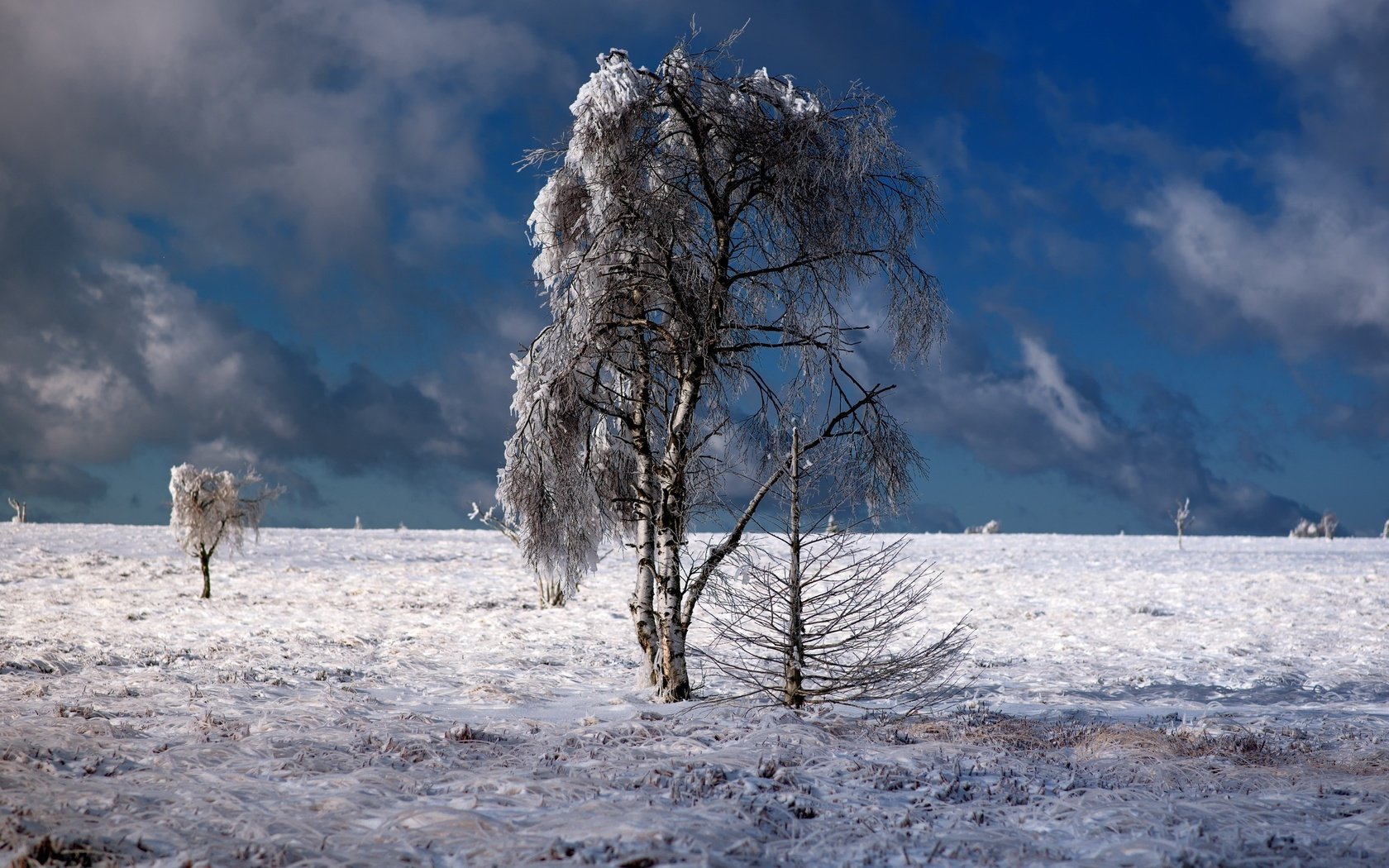 Обои небо, облака, деревья, природа, зима, пейзаж, the sky, clouds, trees, nature, winter, landscape разрешение 2560x1600 Загрузить