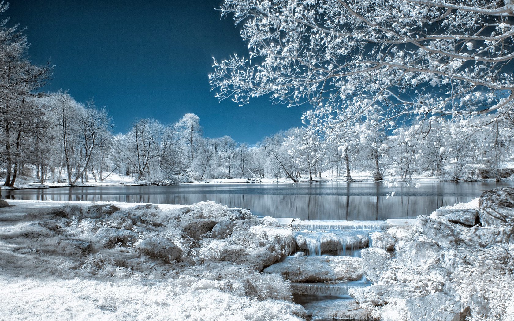 Обои небо, деревья, озеро, природа, зима, парк, иней, the sky, trees, lake, nature, winter, park, frost разрешение 1920x1200 Загрузить