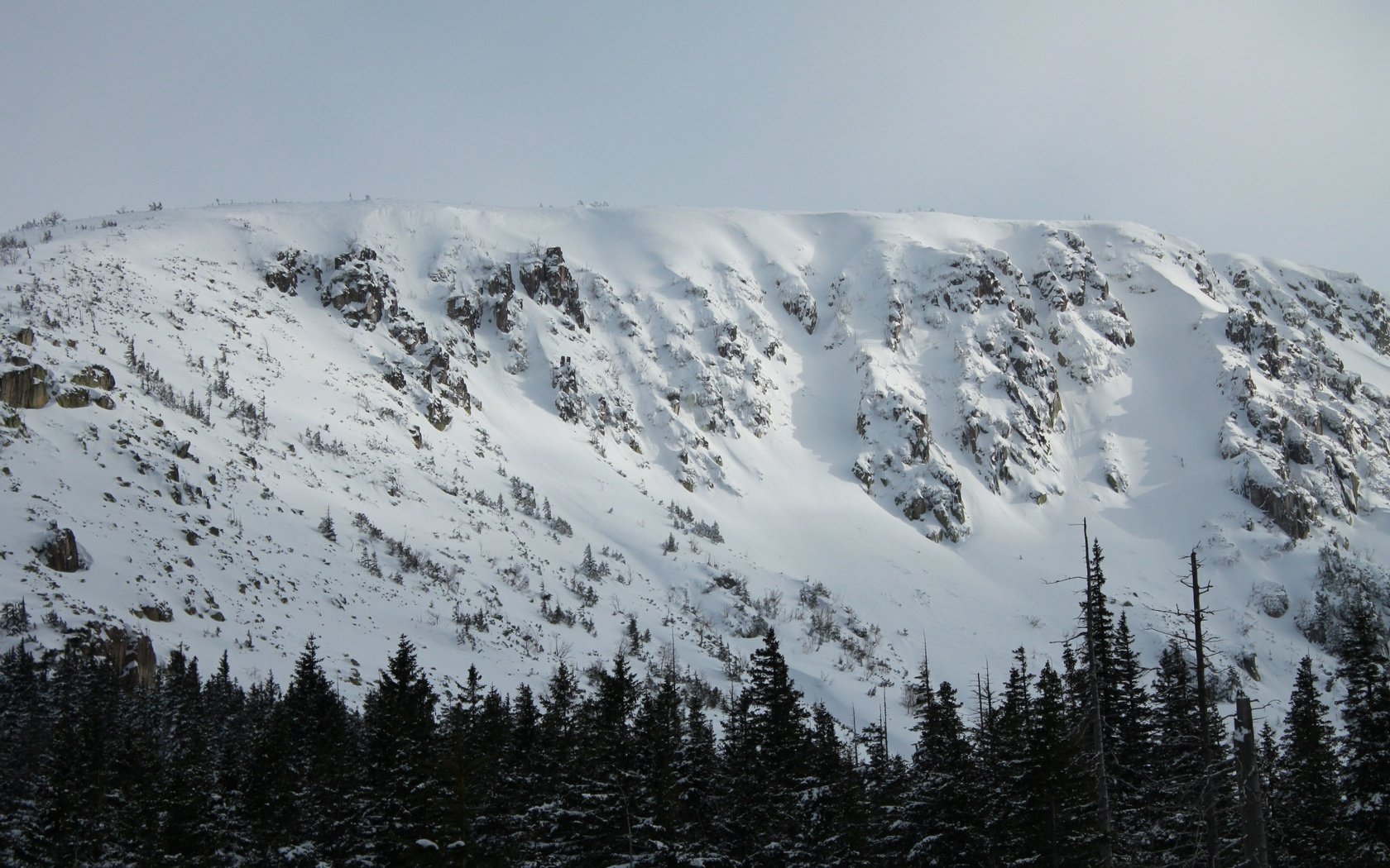 Обои горы, природа, лес, снежные вершины, mountains, nature, forest, snowy peaks разрешение 3840x2560 Загрузить