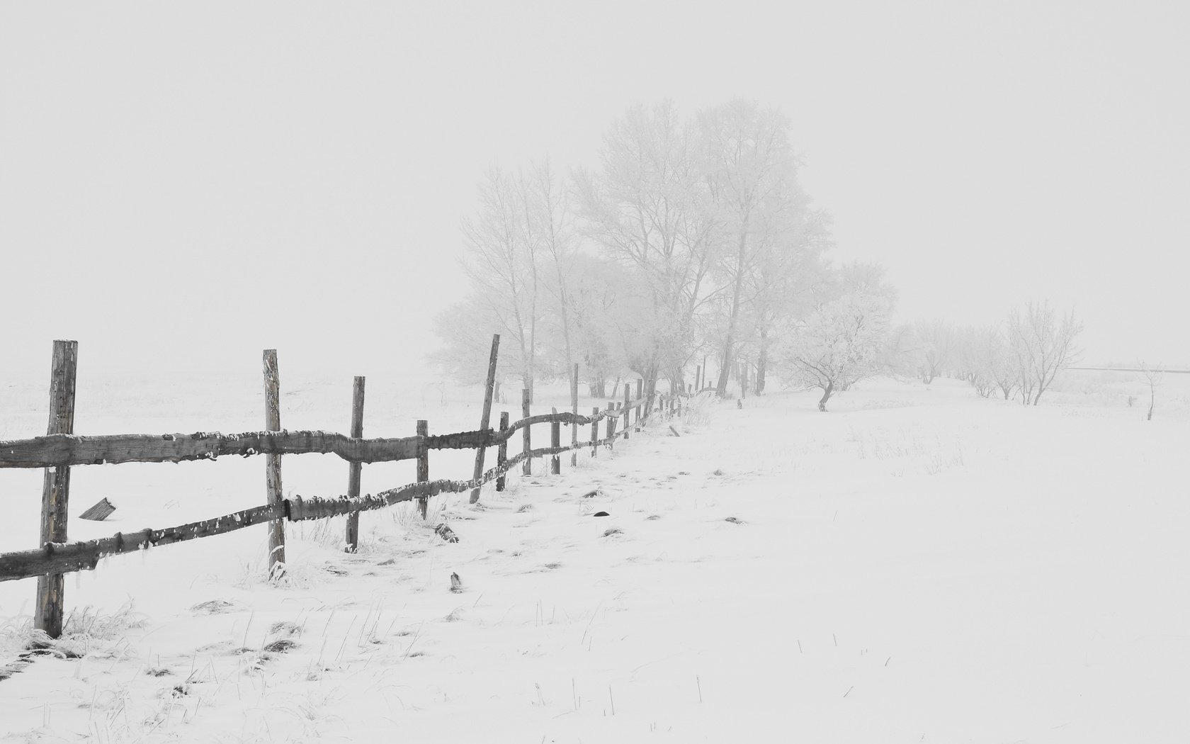 Обои дорога, деревья, снег, зима, мороз, забор, метель, road, trees, snow, winter, frost, the fence, blizzard разрешение 3780x2699 Загрузить