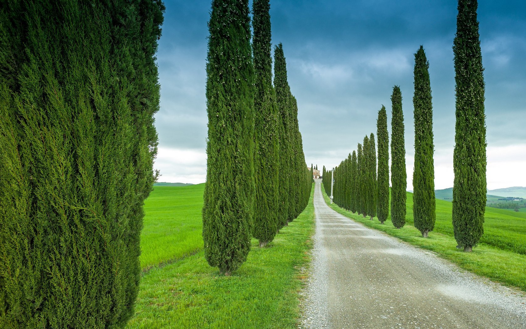 Обои небо, дорога, трава, деревья, италия, тоскана, кипарис, the sky, road, grass, trees, italy, tuscany, cypress разрешение 2048x1363 Загрузить