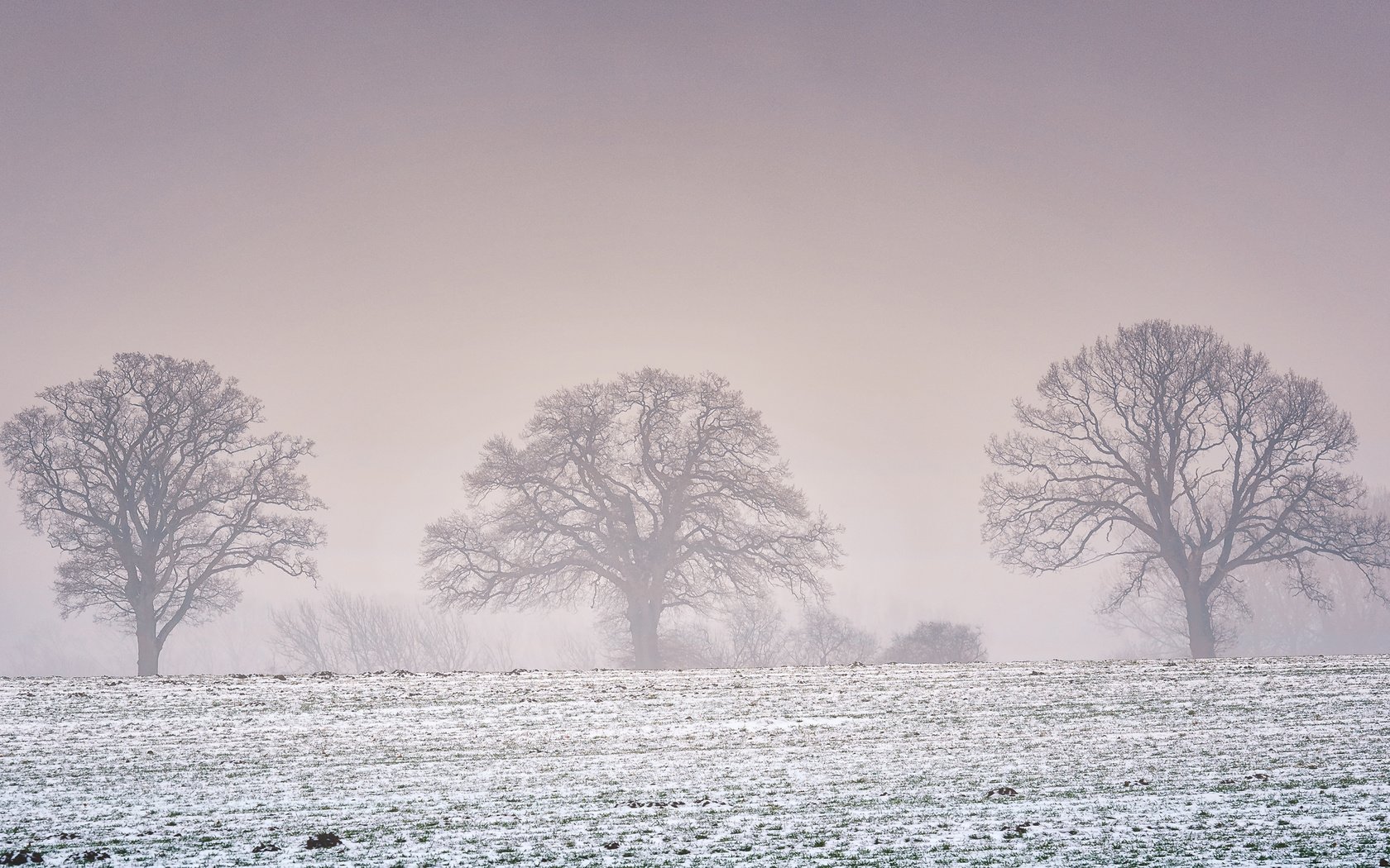 Обои деревья, снег, природа, зима, пейзаж, поле, trees, snow, nature, winter, landscape, field разрешение 2880x1800 Загрузить