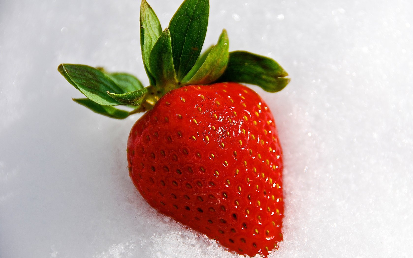 Обои снег, ягода, клубника, snow, berry, strawberry разрешение 2048x1411 Загрузить
