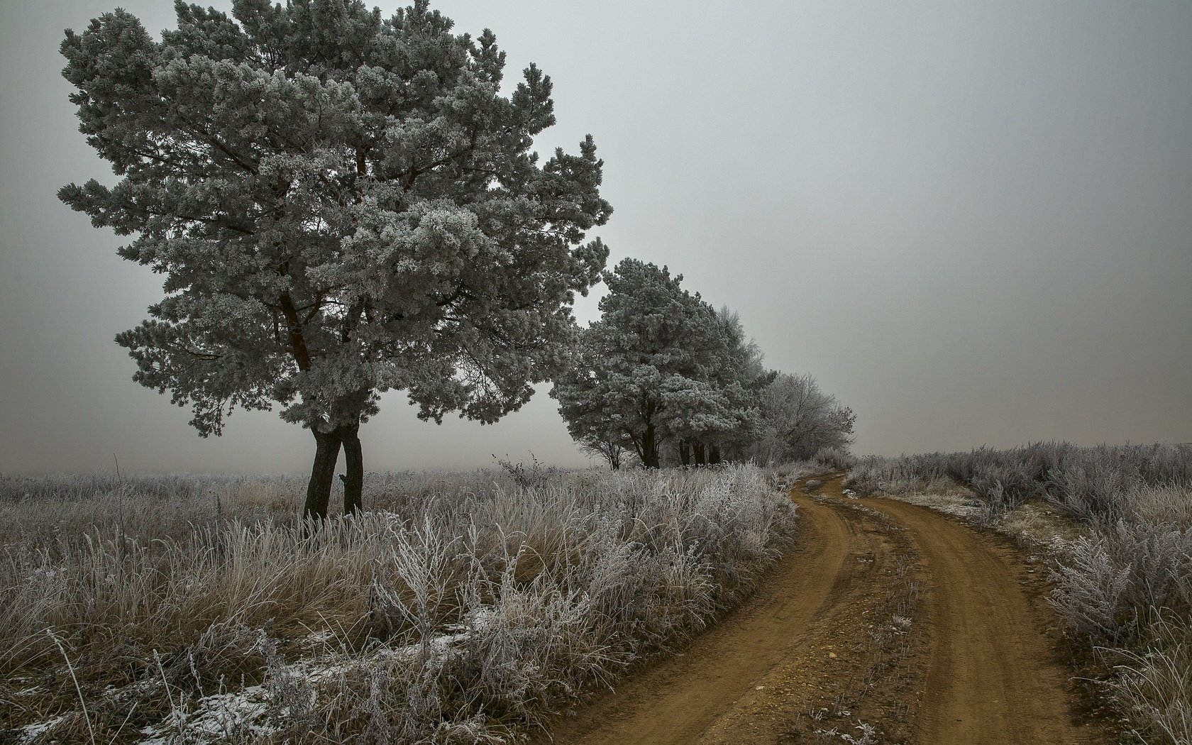 Обои дорога, деревья, природа, растения, пейзаж, утро, туман, иней, road, trees, nature, plants, landscape, morning, fog, frost разрешение 2560x1707 Загрузить