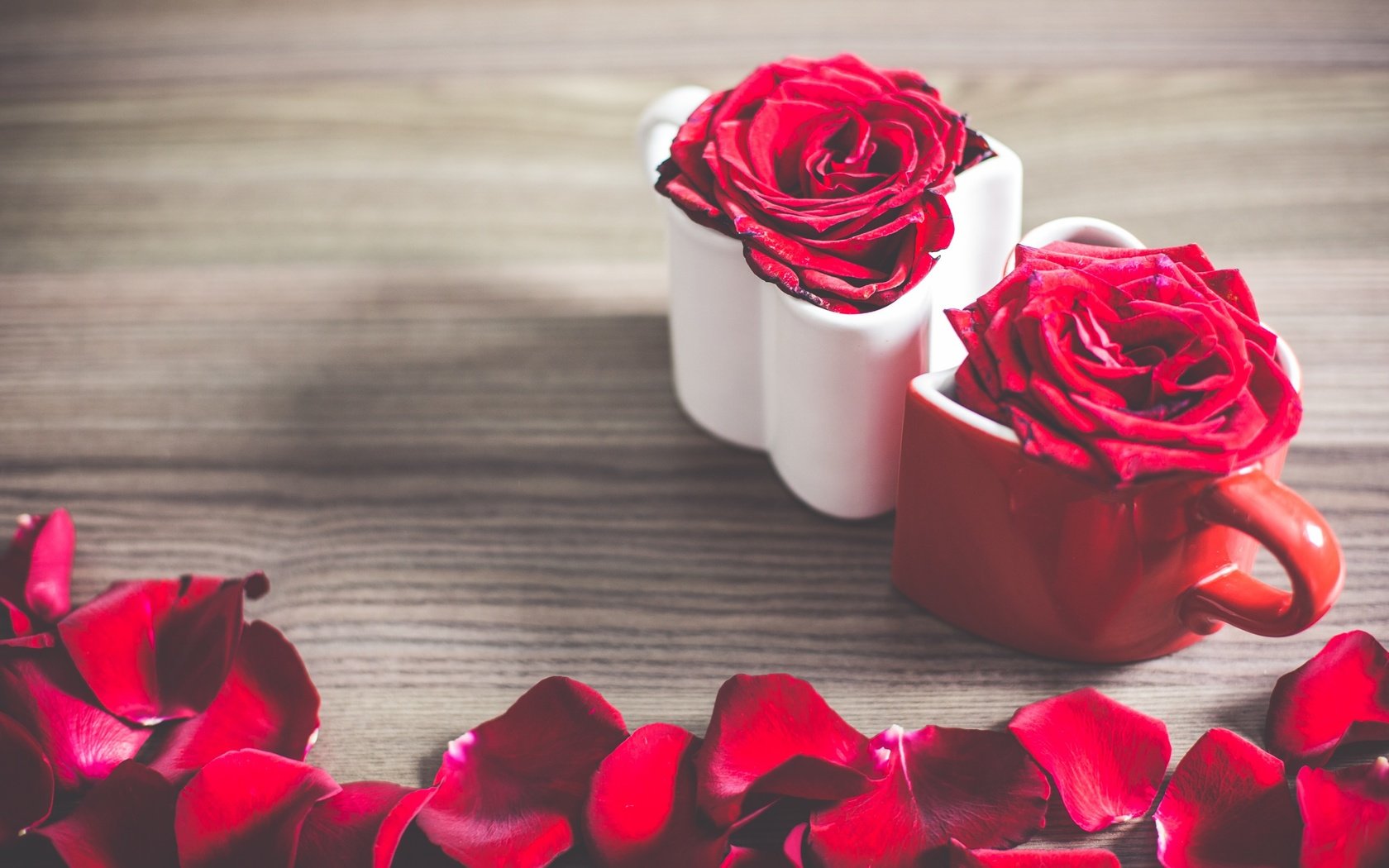 Обои цветы, розы, лепестки, кружки, flowers, roses, petals, mugs разрешение 2880x1800 Загрузить