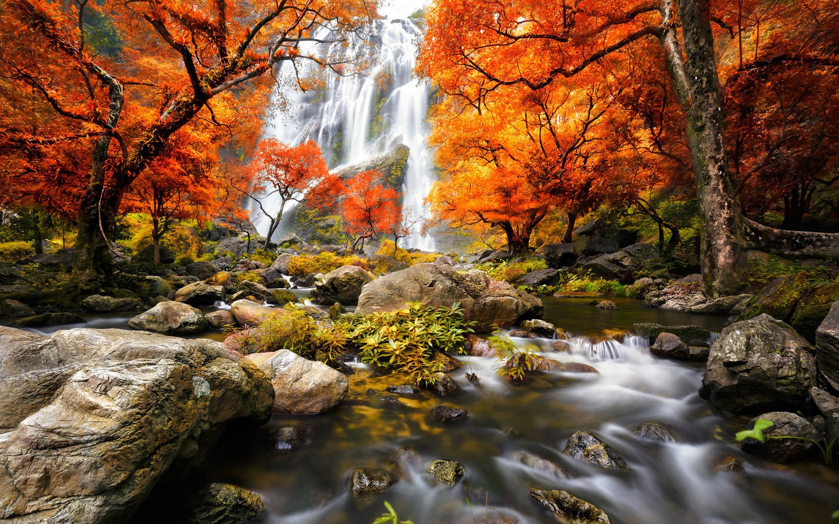 Обои трава, деревья, река, камни, лес, водопад, осень, мох, grass, trees, river, stones, forest, waterfall, autumn, moss разрешение 1920x1200 Загрузить