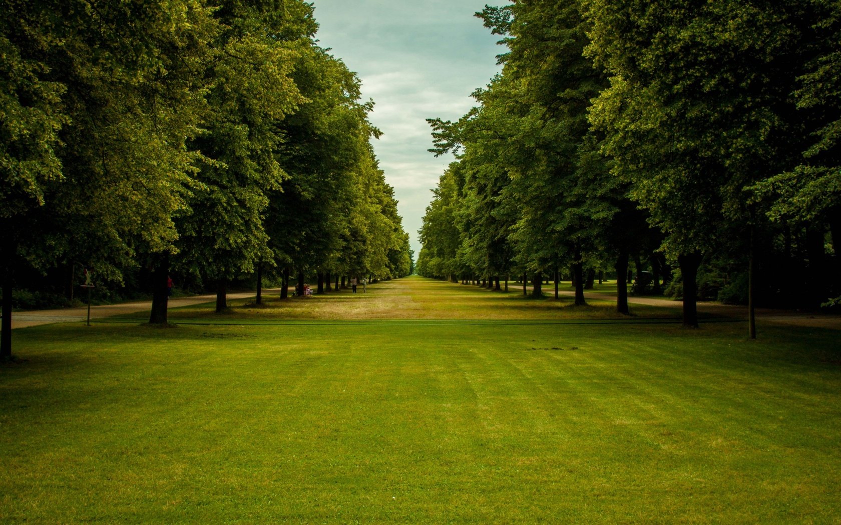 Обои небо, трава, деревья, парк, ветки, зеленые листья, the sky, grass, trees, park, branches, green leaves разрешение 2880x1800 Загрузить