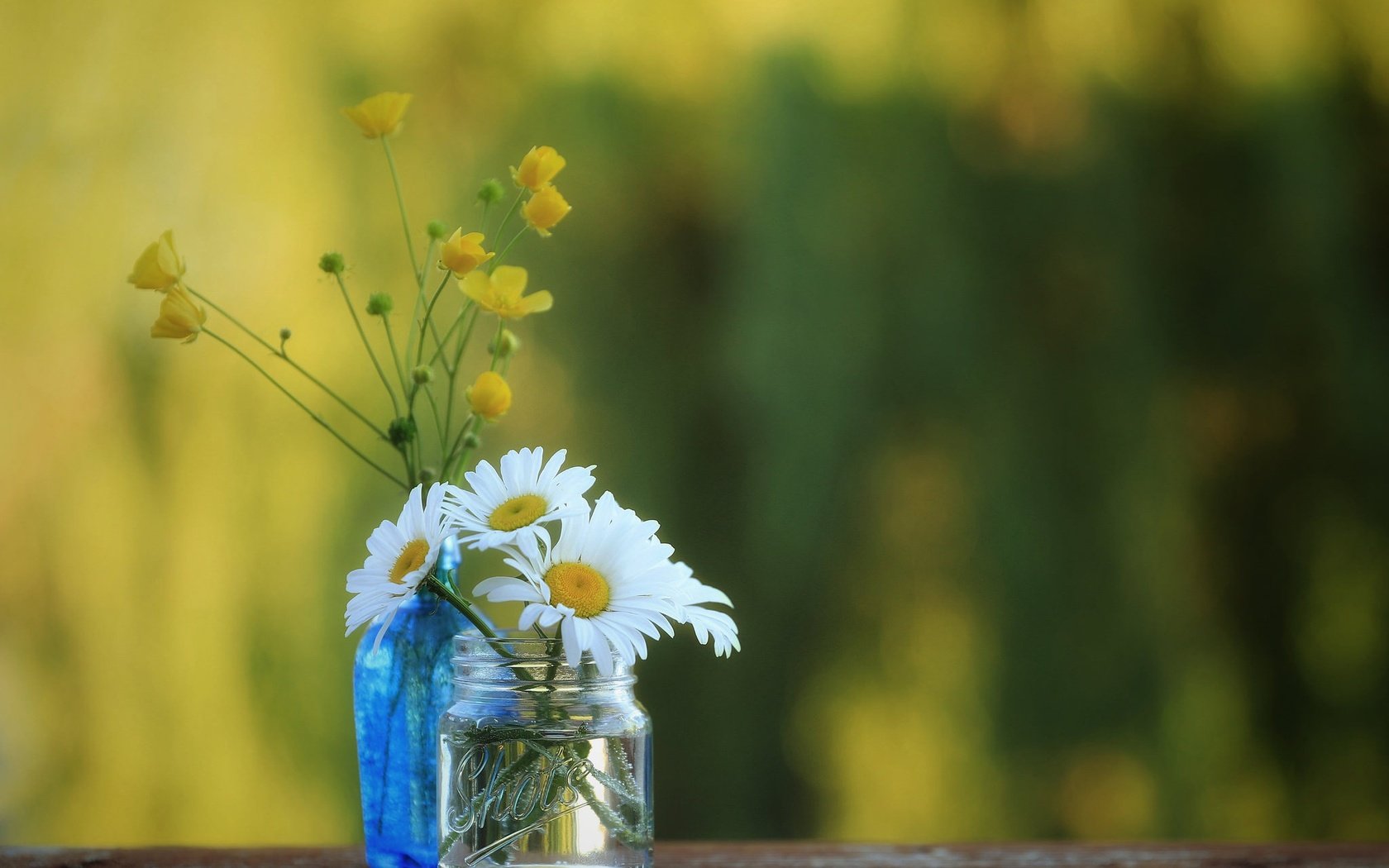 Обои ромашки, полевые цветы, банка, бутылочка, боке, лютики, chamomile, wildflowers, bank, bottle, bokeh, buttercups разрешение 2048x1365 Загрузить