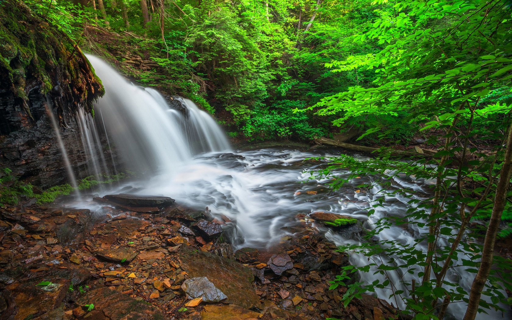 Обои деревья, река, лес, ветки, водопад, trees, river, forest, branches, waterfall разрешение 1920x1200 Загрузить