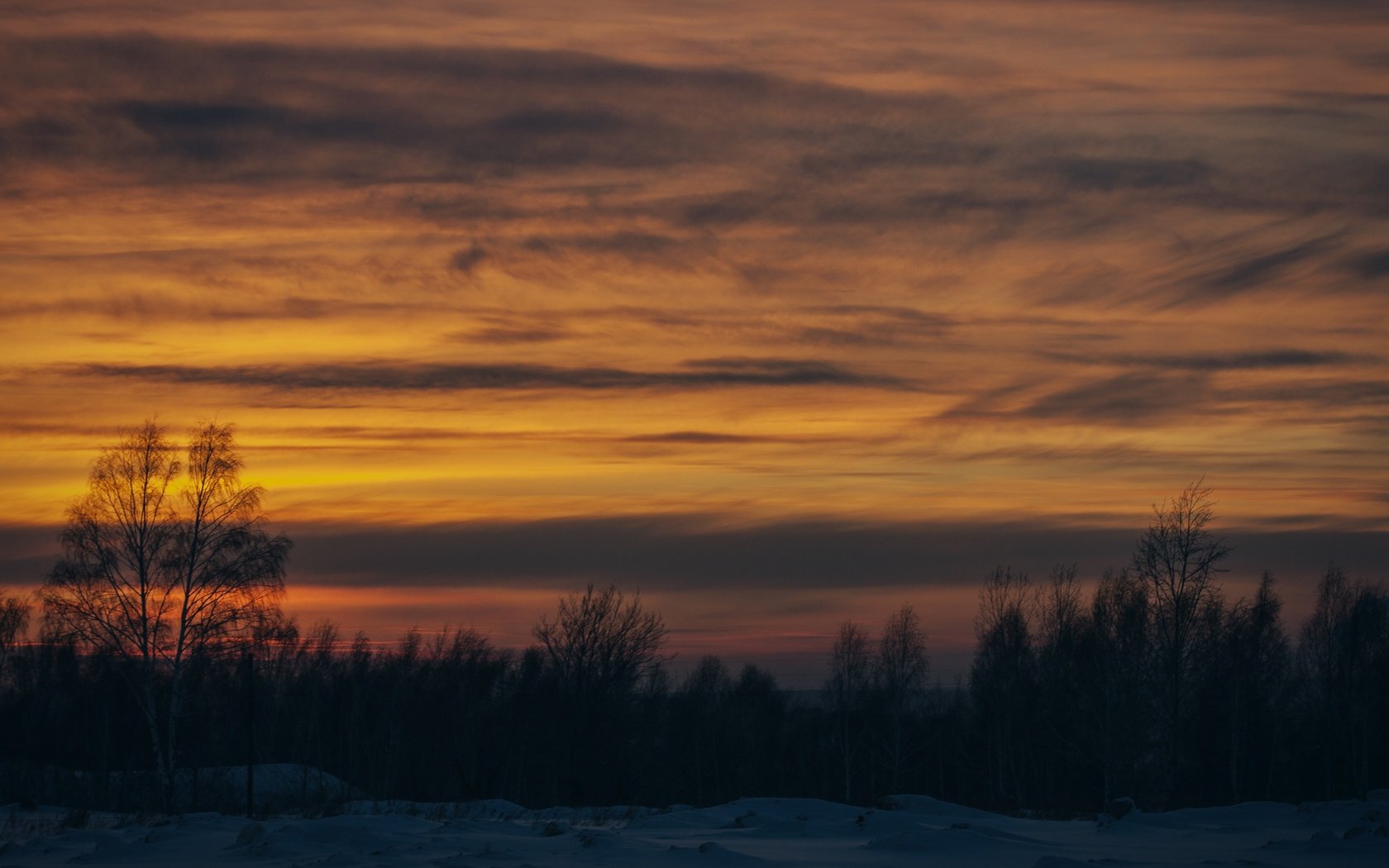 Обои деревья, снег, закат, зима, trees, snow, sunset, winter разрешение 4230x2820 Загрузить