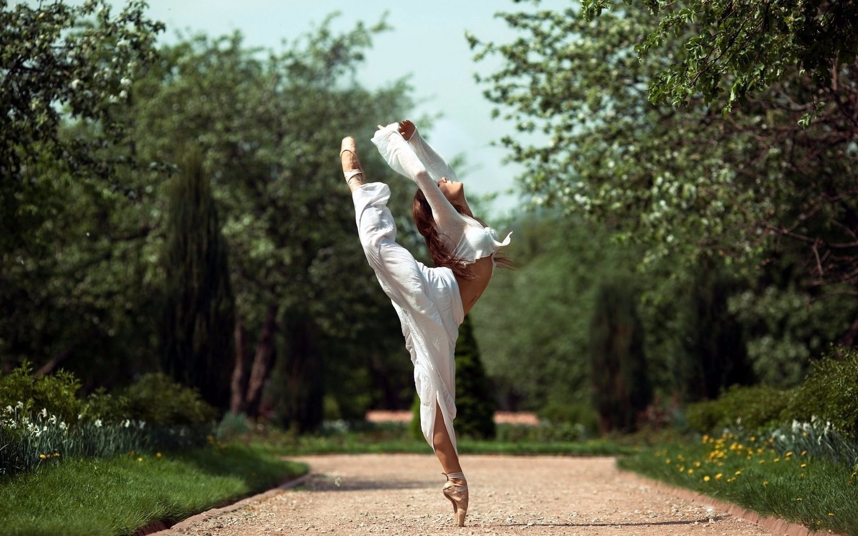 Обои деревья, девушка, парк, танец, балерина, trees, girl, park, dance, ballerina разрешение 1920x1302 Загрузить