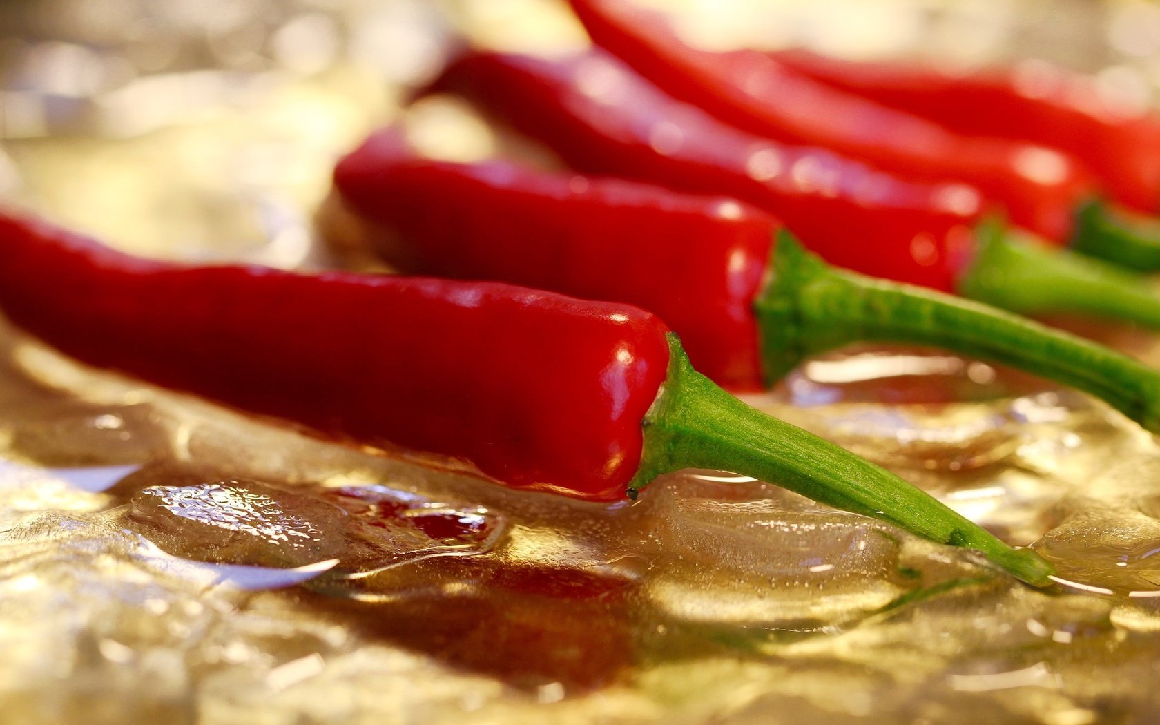 Обои красный, овощи, чили, перец, жгучий перец, red, vegetables, chile, pepper, hot pepper разрешение 2560x1600 Загрузить