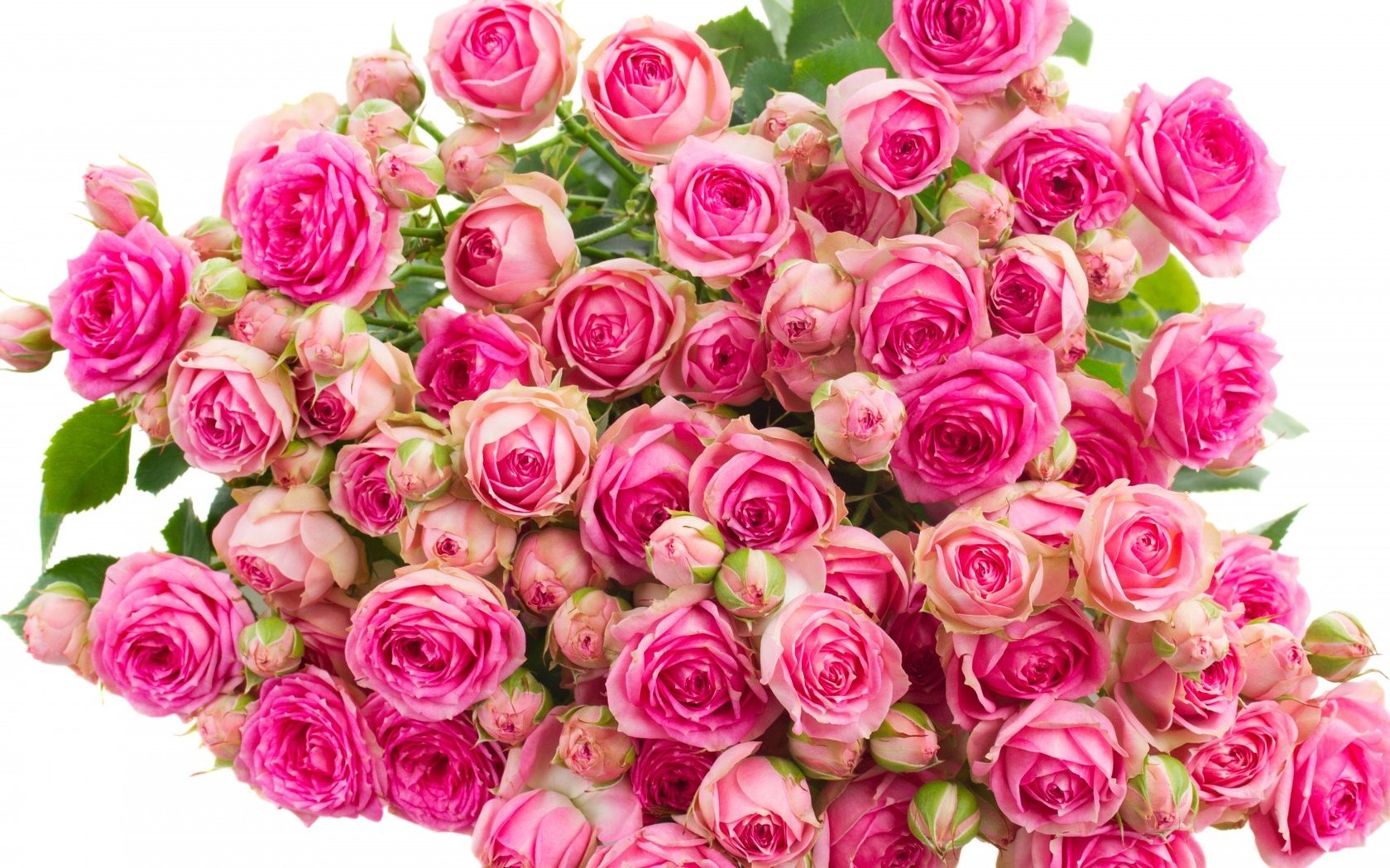 Обои цветы, бутоны, розы, букет, flowers, buds, roses, bouquet разрешение 1920x1080 Загрузить