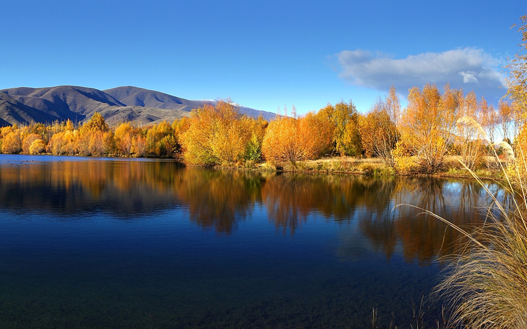 Обои небо, вода, озеро, осень, ивы, the sky, water, lake, autumn, willow разрешение 2400x1337 Загрузить