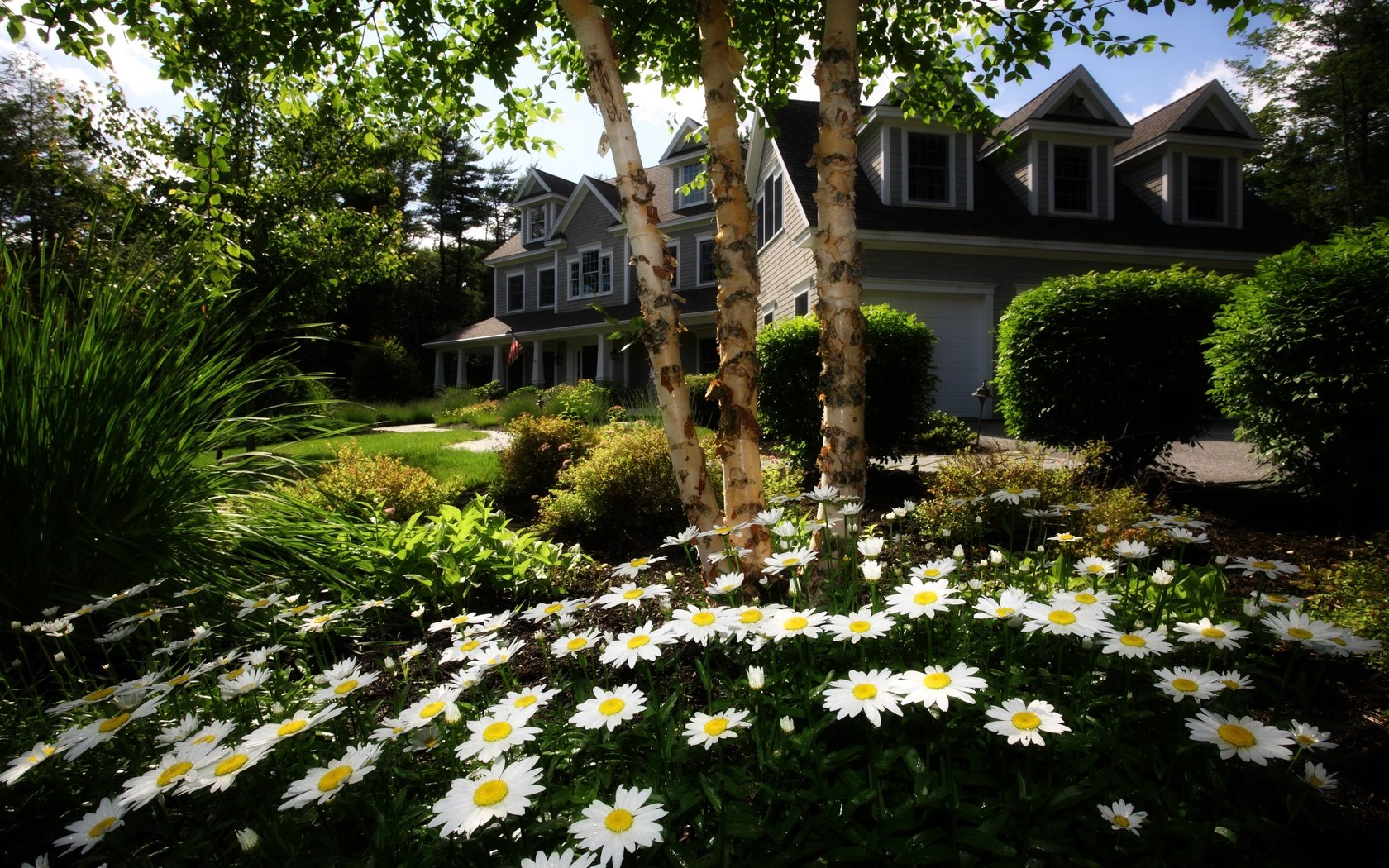 Обои цветы, трава, деревья, сад, дом, ромашки, лужайка, коттедж, flowers, grass, trees, garden, house, chamomile, lawn, cottage разрешение 4000x2776 Загрузить