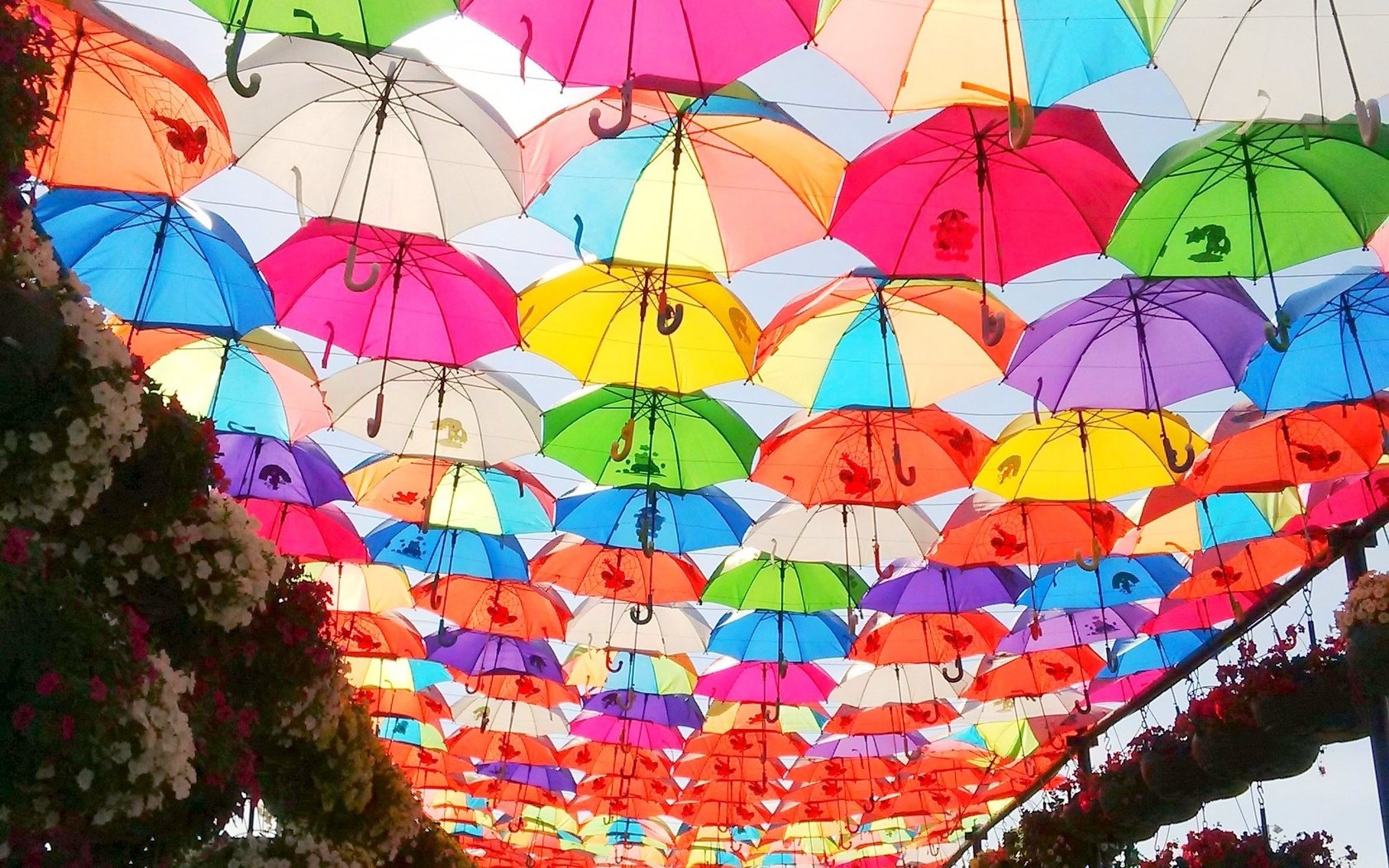 Обои цветы, парк, разноцветные, город, зонтик, зонты, дубай, зонтики, flowers, park, colorful, the city, umbrella, umbrellas, dubai разрешение 1920x1775 Загрузить