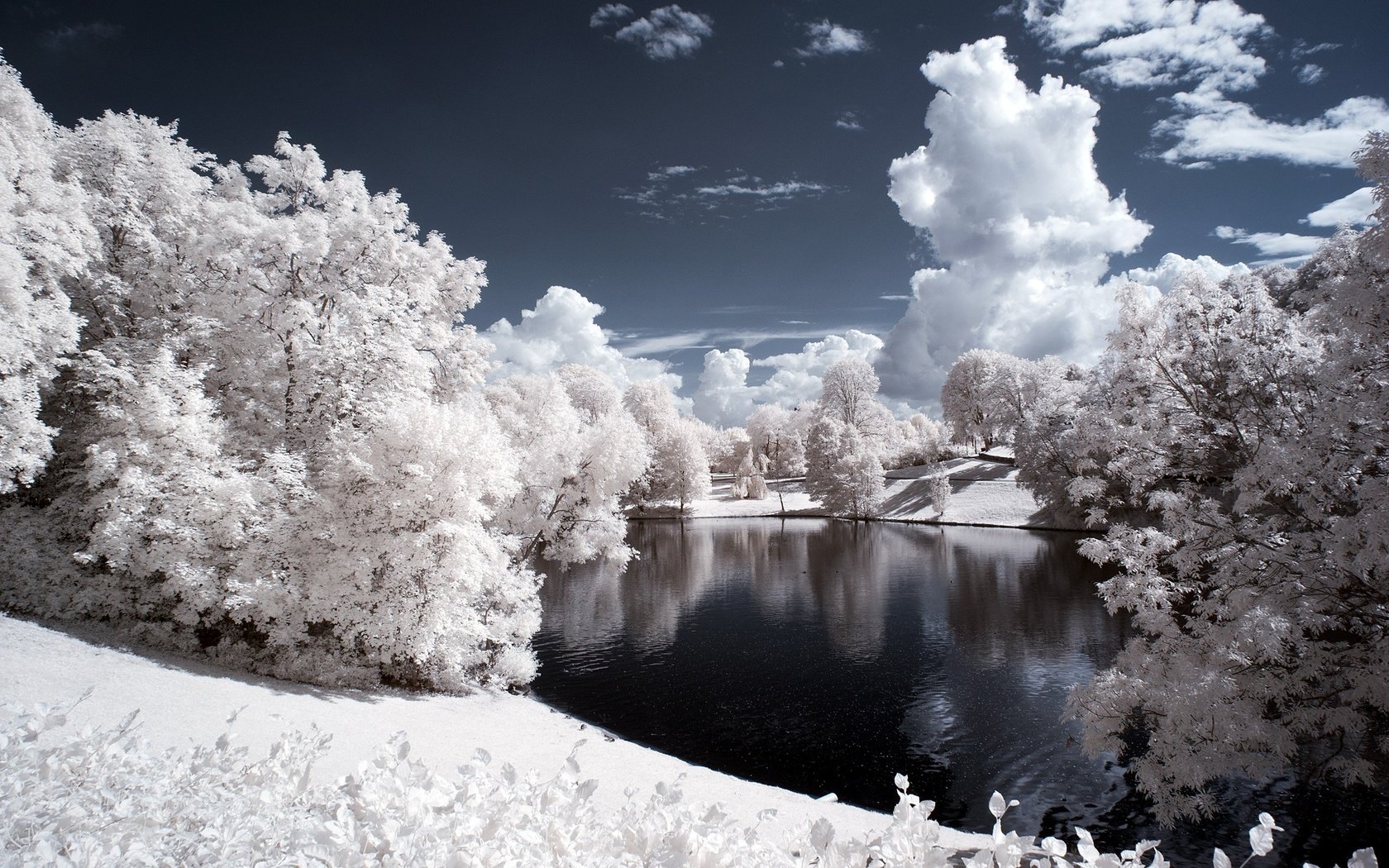 Обои небо, облака, деревья, вода, снег, природа, зима, the sky, clouds, trees, water, snow, nature, winter разрешение 2560x1600 Загрузить