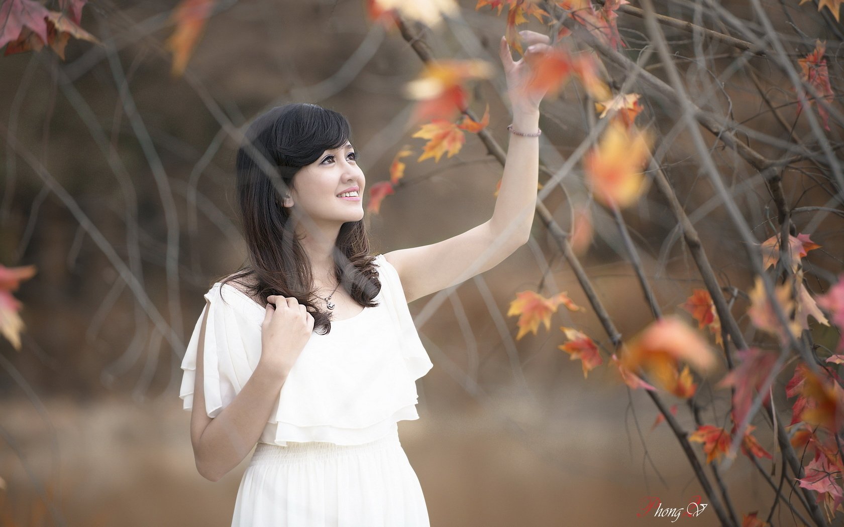 Обои природа, листья, девушка, осень, азиатка, nature, leaves, girl, autumn, asian разрешение 1920x1200 Загрузить