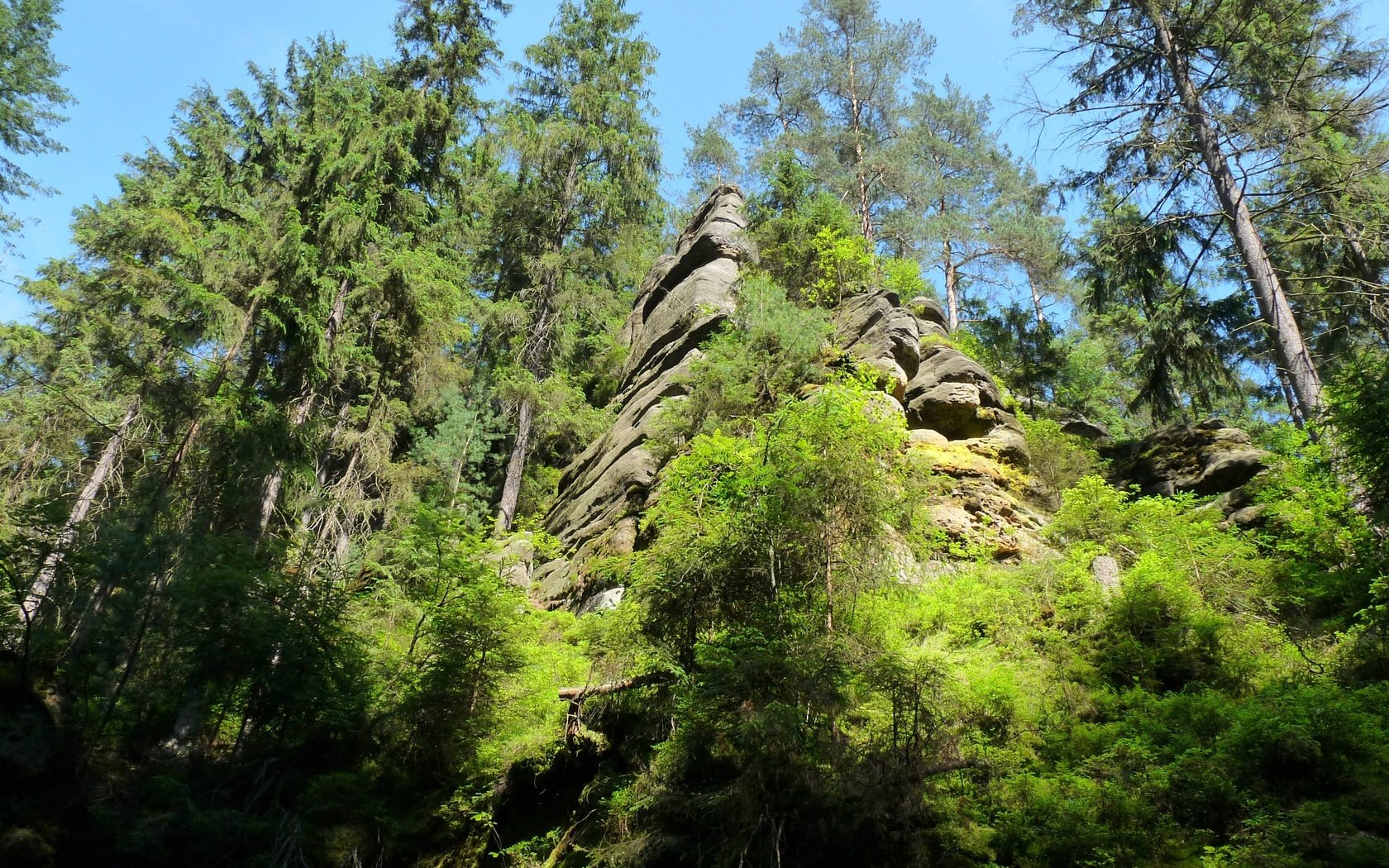 Обои небо, свет, деревья, природа, скала, швейцария, тень, the sky, light, trees, nature, rock, switzerland, shadow разрешение 3648x2736 Загрузить