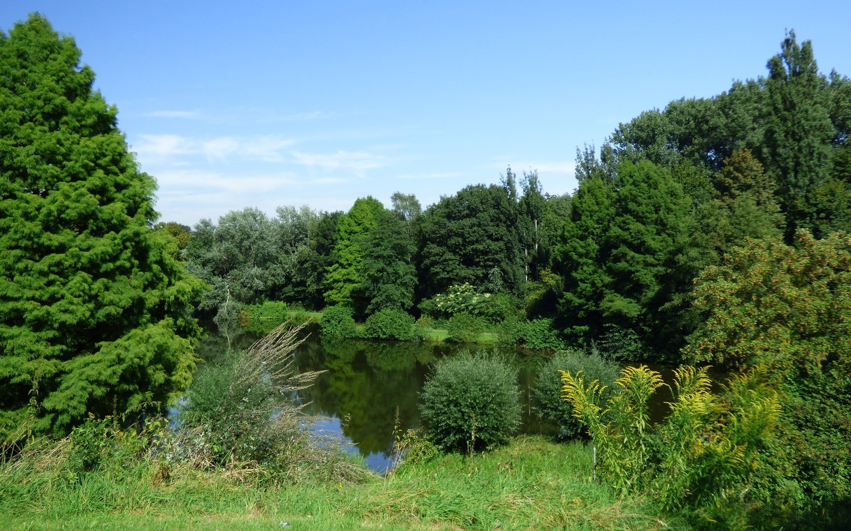 Обои озеро, лес, lake, forest разрешение 4608x2879 Загрузить