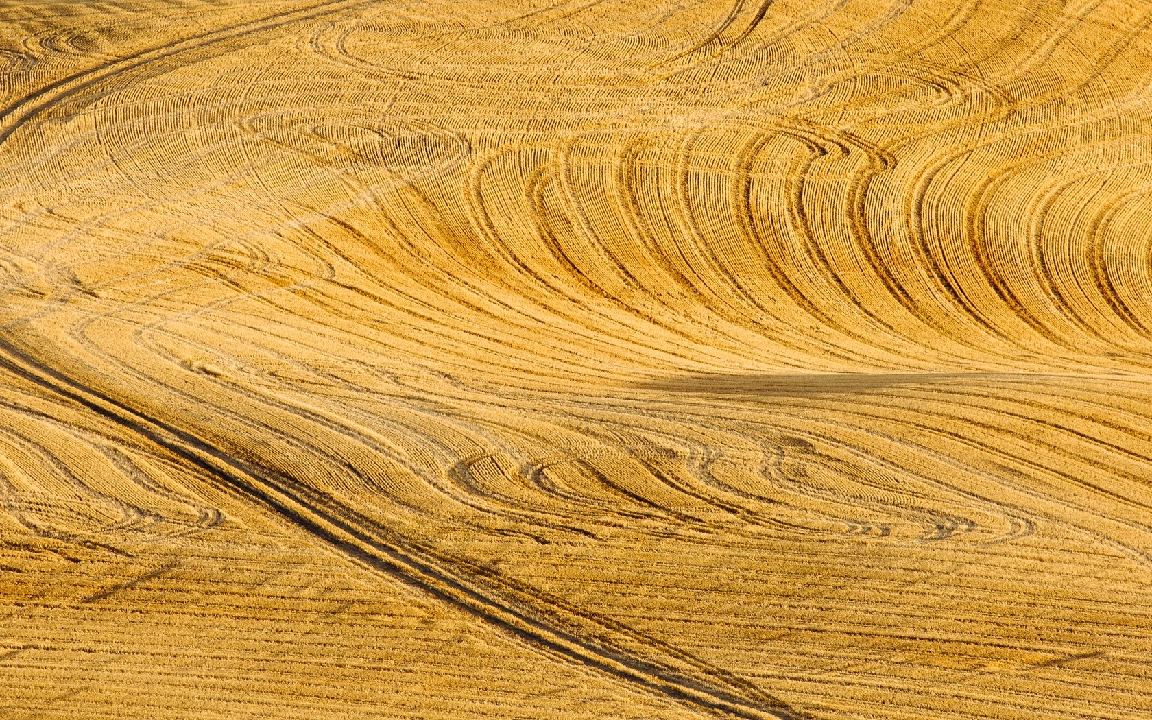 Обои дорога, пейзаж, поле, road, landscape, field разрешение 5459x2730 Загрузить