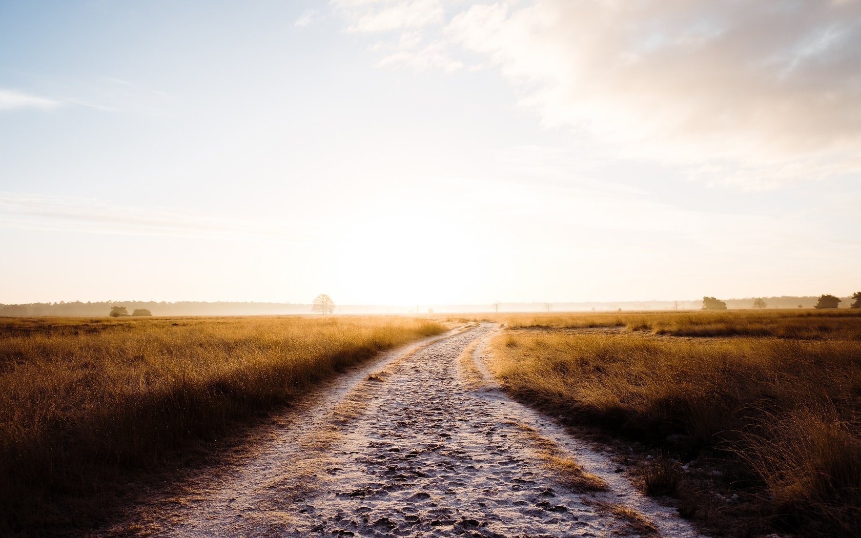 Обои небо, дорога, трава, облака, утро, туман, поле, robert-paul jansen, the sky, road, grass, clouds, morning, fog, field разрешение 2048x1365 Загрузить