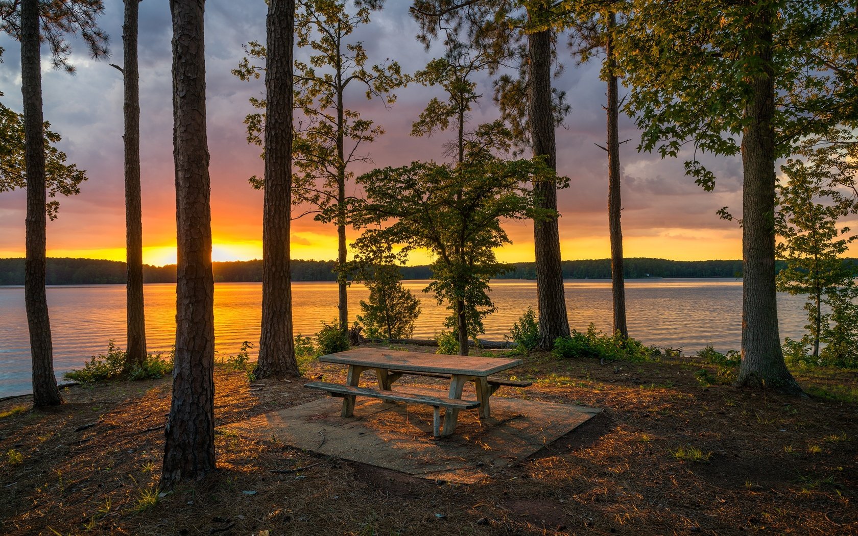 Обои деревья, озеро, берег, лес, закат, стволы, скамейка, trees, lake, shore, forest, sunset, trunks, bench разрешение 2048x1366 Загрузить