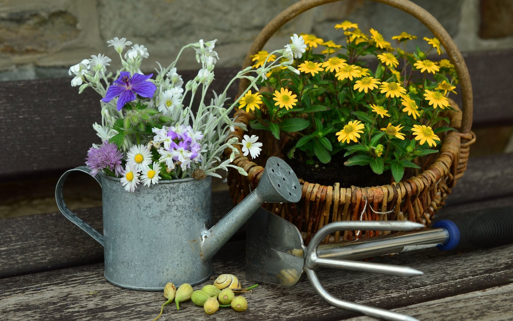 Обои цветы, букет, корзина, полевые цветы, натюрморт, лейка, flowers, bouquet, basket, wildflowers, still life, lake разрешение 4654x3059 Загрузить