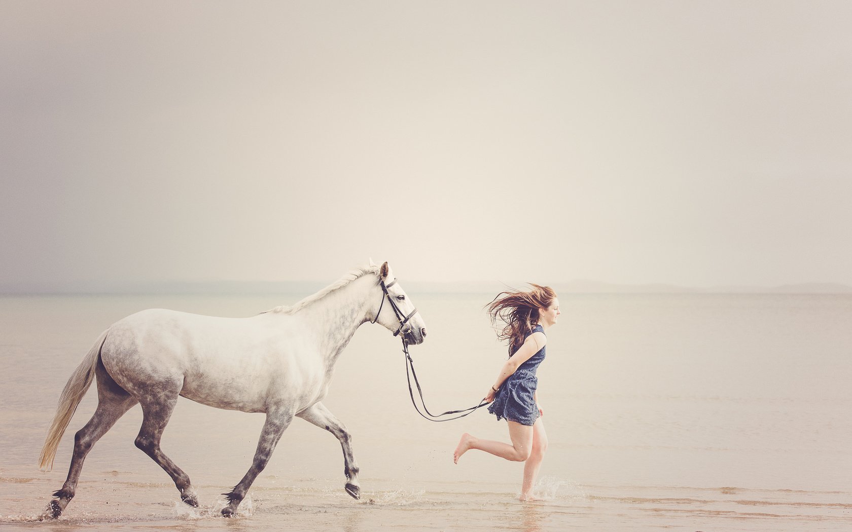 Обои лошадь, берег, девушка, море, пляж, горизонт, свобода, бег, horse, shore, girl, sea, beach, horizon, freedom, running разрешение 2048x1367 Загрузить