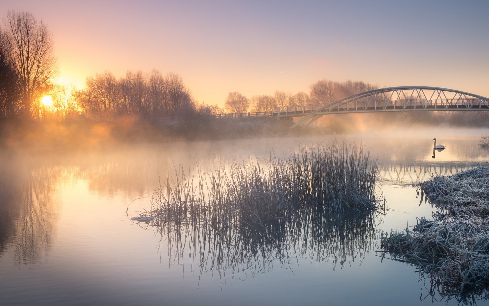 Обои река, природа, пейзаж, утро, туман, мост, птица, лебедь, river, nature, landscape, morning, fog, bridge, bird, swan разрешение 2880x1800 Загрузить