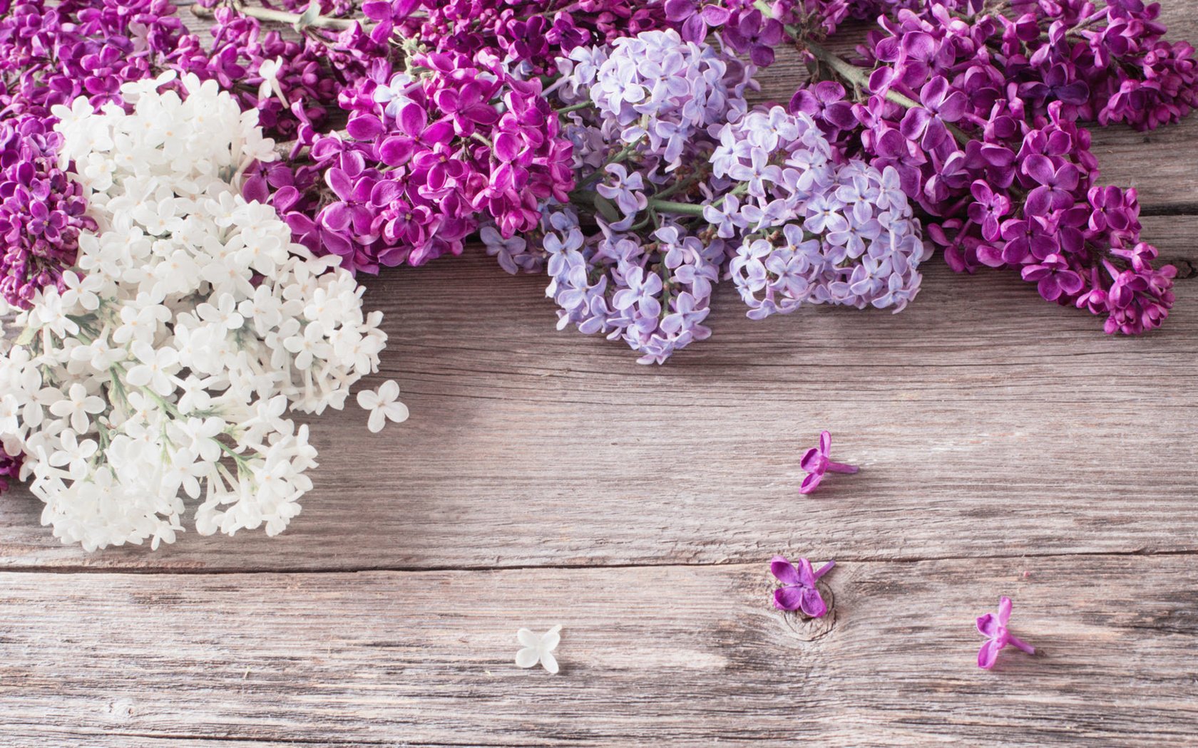 Обои цветы, весна, сирень, деревянная поверхность, flowers, spring, lilac, wooden surface разрешение 1920x1200 Загрузить