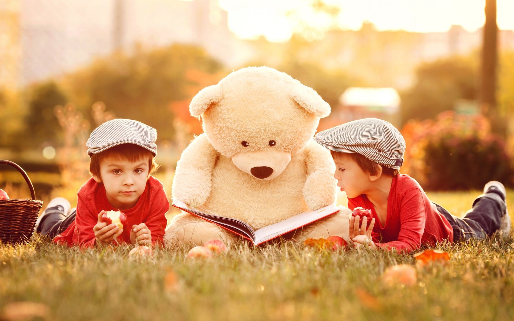 Обои трава, природа, медведь, дети, игрушка, книга, мальчики, grass, nature, bear, children, toy, book, boys разрешение 6000x4000 Загрузить