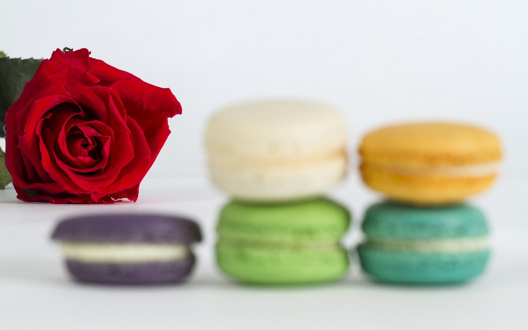 Обои разноцветные, красная роза, печенье, макаруны, colorful, red rose, cookies, macaroon разрешение 5184x3456 Загрузить