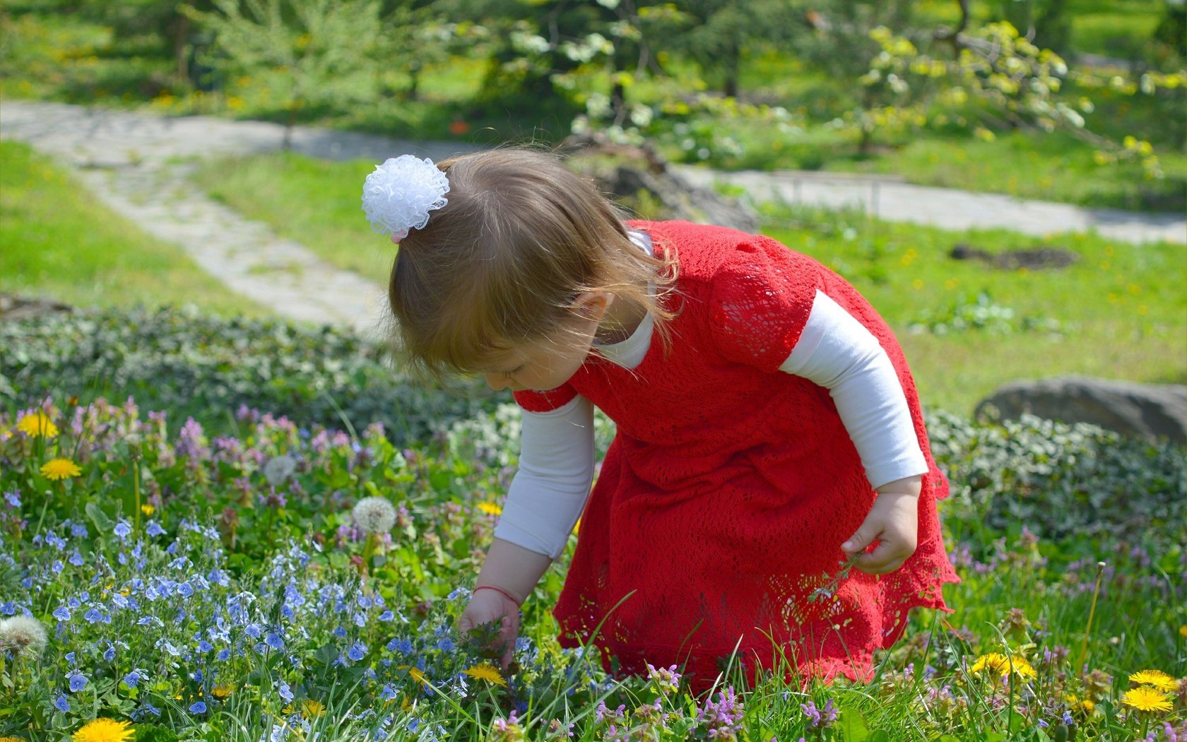 Обои цветы, природа, дети, девочка, ребенок, полевые цветы, flowers, nature, children, girl, child, wildflowers разрешение 3000x1897 Загрузить