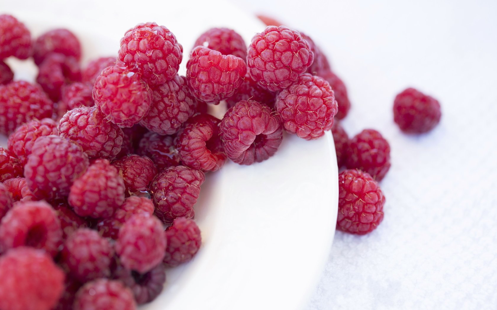 Обои малина, ягоды, белый фон, тарелка, raspberry, berries, white background, plate разрешение 5760x3840 Загрузить