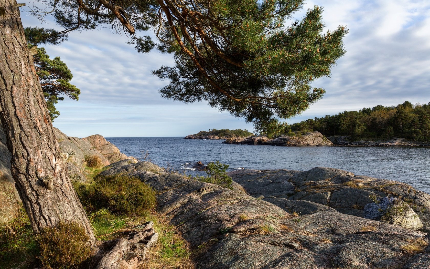 Обои небо, облака, дерево, камни, берег, море, the sky, clouds, tree, stones, shore, sea разрешение 2048x1366 Загрузить