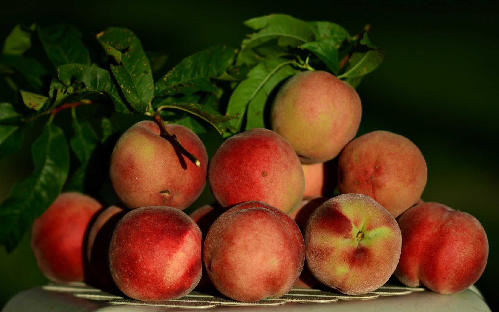 Обои фрукты, урожай, плоды, персики, fruit, harvest, peaches разрешение 2464x1632 Загрузить