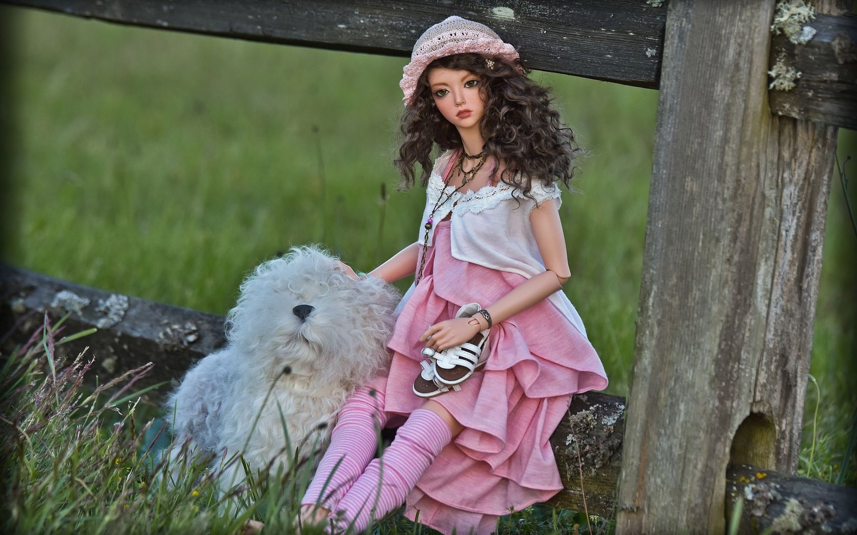 Обои трава, забор, собака, кукла, волосы, лицо, игрушки, шляпка, grass, the fence, dog, doll, hair, face, toys, hat разрешение 2000x1334 Загрузить