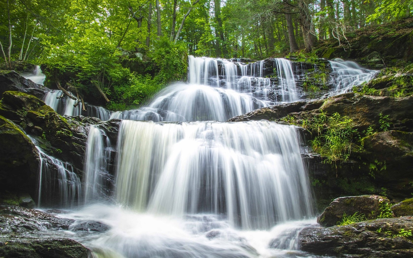 Обои вода, камни, зелень, водопад, каскад, water, stones, greens, waterfall, cascade разрешение 3600x2400 Загрузить