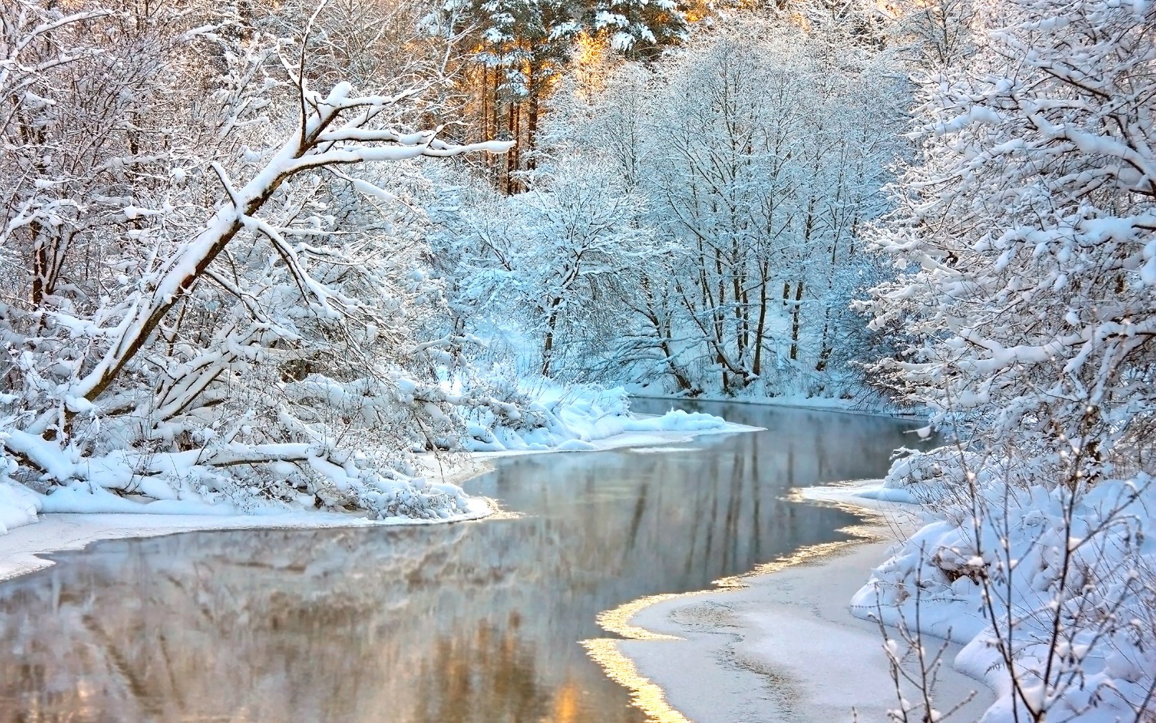 Обои деревья, река, снег, природа, лес, зима, ветки, trees, river, snow, nature, forest, winter, branches разрешение 2560x1600 Загрузить