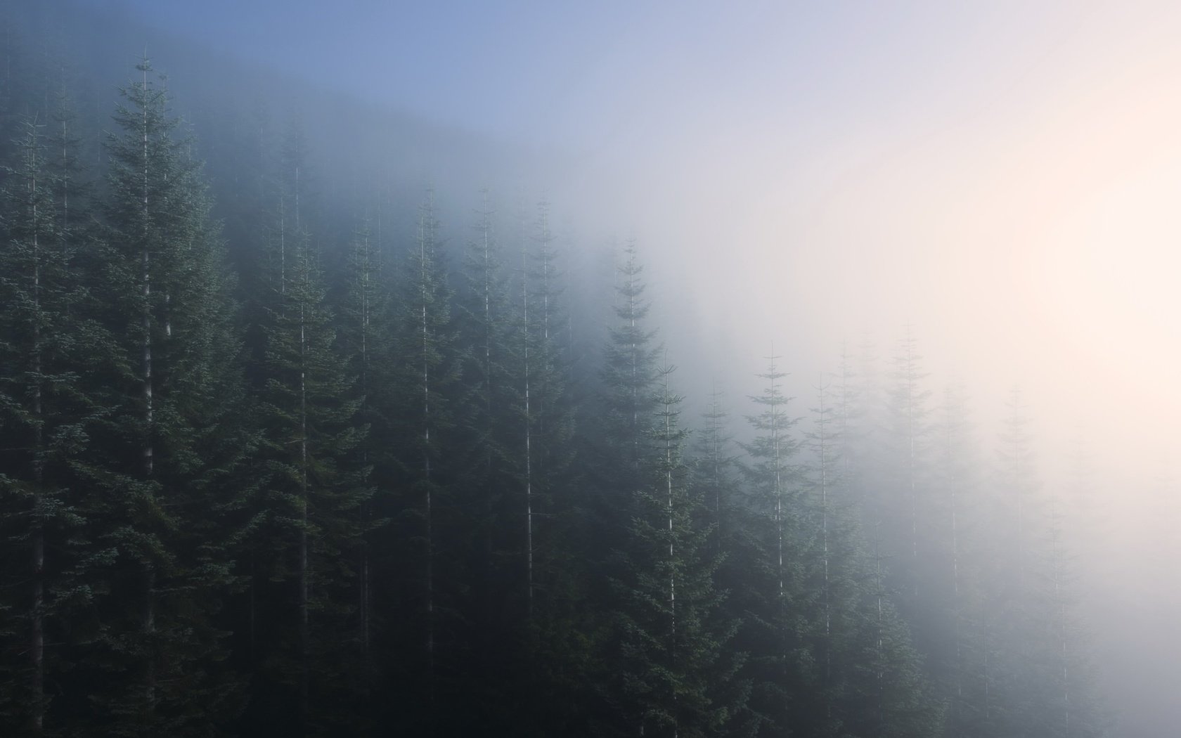 Обои деревья, природа, лес, пейзаж, утро, туман, trees, nature, forest, landscape, morning, fog разрешение 2048x1247 Загрузить