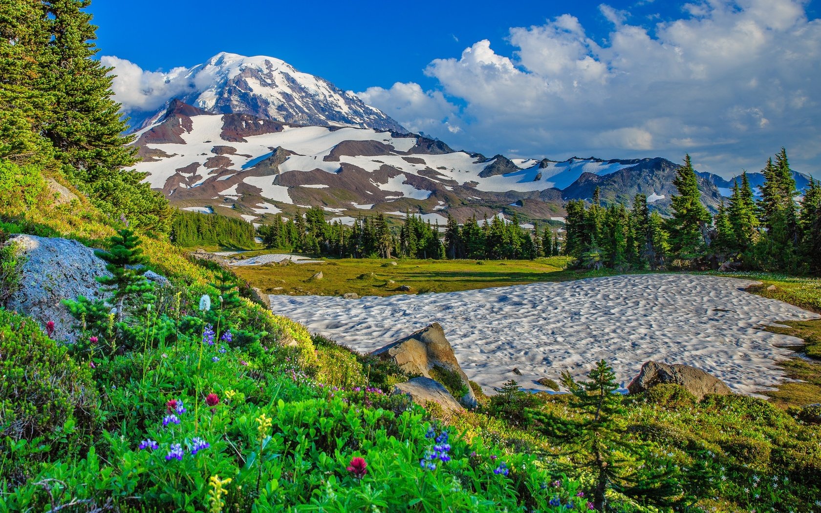 Обои цветы, деревья, горы, снег, сша, штат вашингтон, flowers, trees, mountains, snow, usa, washington разрешение 2048x1470 Загрузить