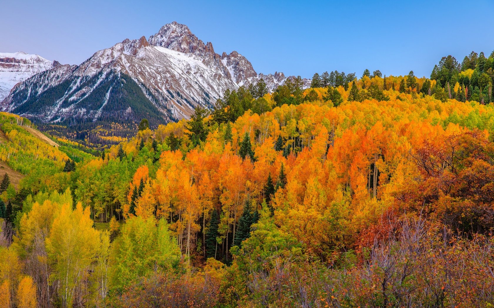 Обои деревья, горы, лес, осень, сша, колорадо, аспен, trees, mountains, forest, autumn, usa, colorado, aspen разрешение 2048x1365 Загрузить