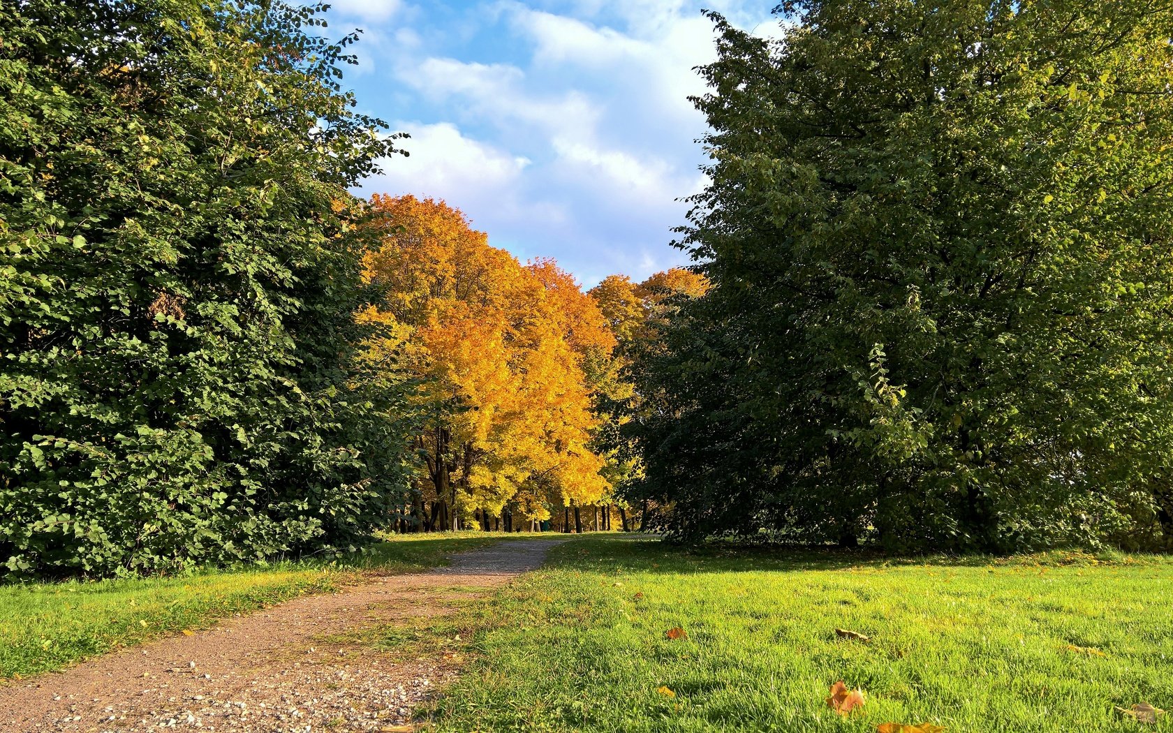 Обои деревья, парк, дорожка, листва, осень, лужайка, золотая осень, trees, park, track, foliage, autumn, lawn, golden autumn разрешение 5344x3008 Загрузить